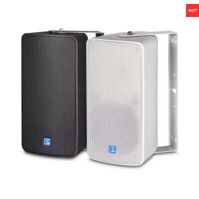 Are Loudspeaker Dust Caps Important?