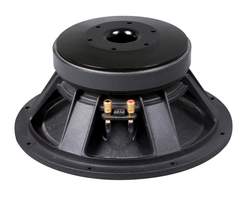 PL1030-16 10 inch Ferrite Woofer