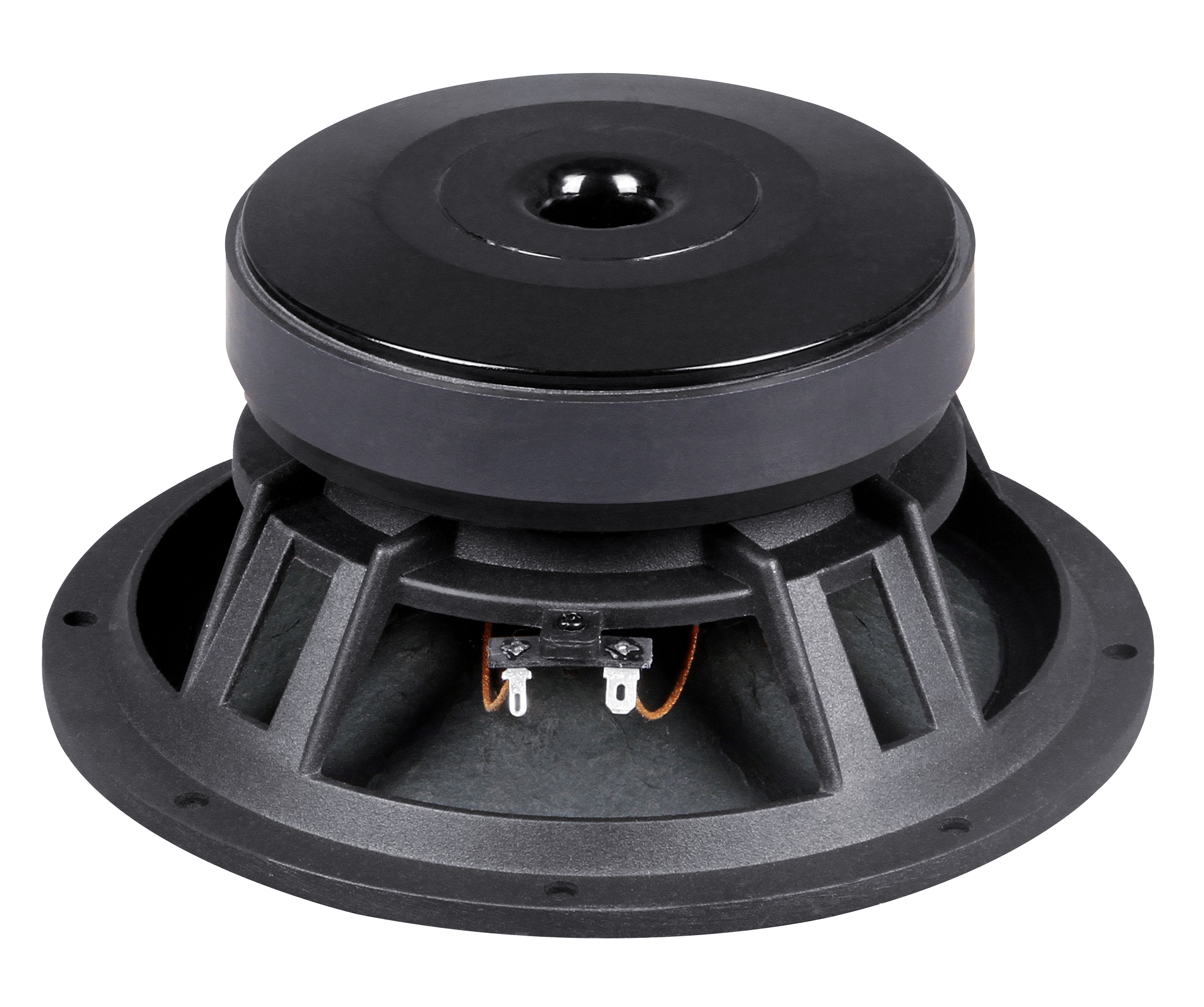 PL1025 10 inch Ferrite Woofer