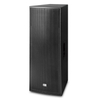 FT2153Ⅱ Dual 15' Full Range Speaker Cabinet